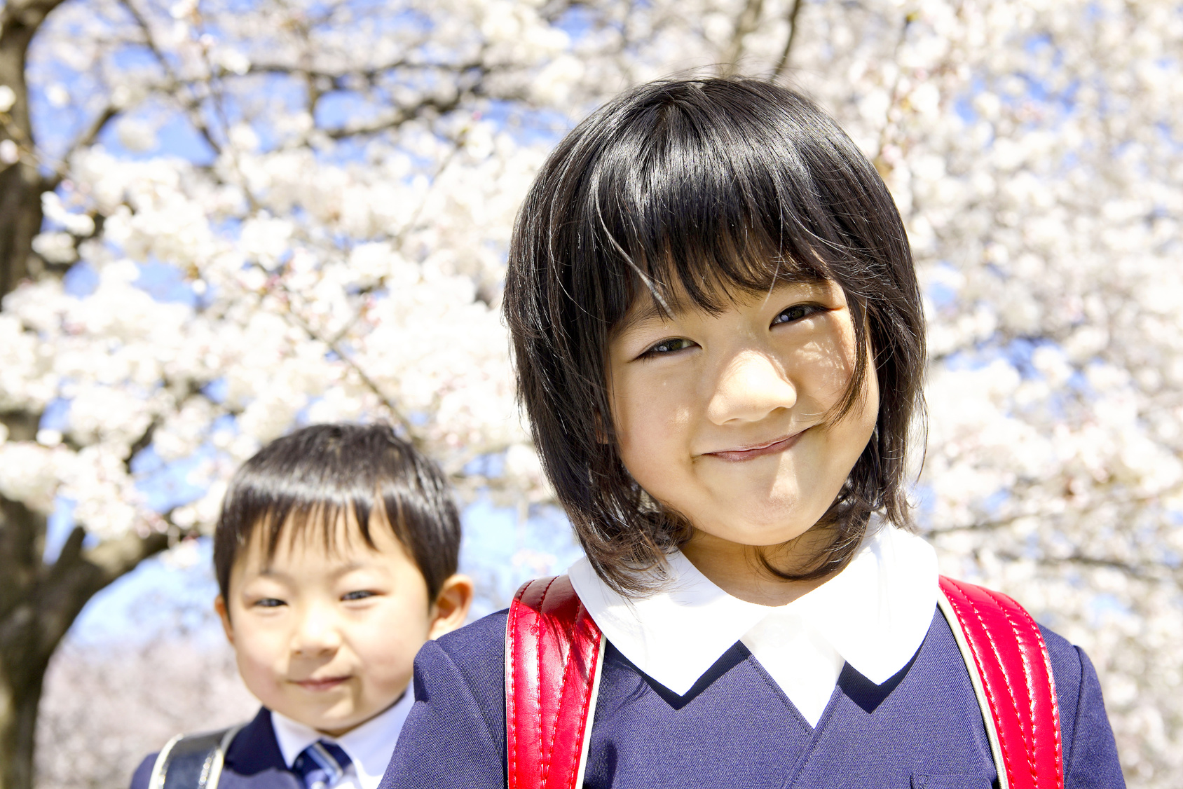 Girl and Boy First Graders are in front of Cherry tree