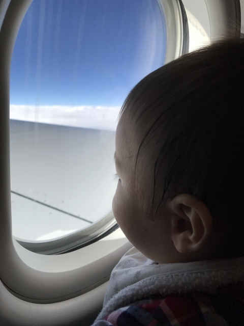 A baby is staring at sky