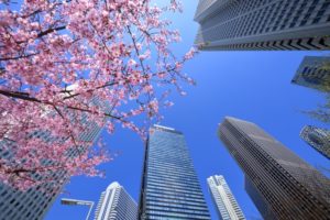都会に聳え立つビルと桜
